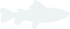 YY易游体育官网
