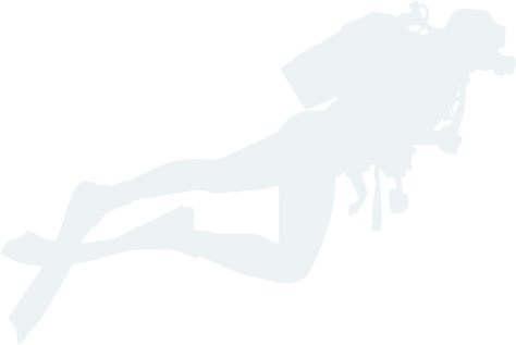 YY易游体育官网