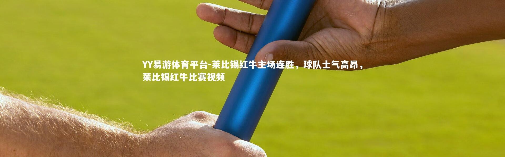 YY易游体育平台-莱比锡红牛主场连胜，球队士气高昂，莱比锡红牛比赛视频