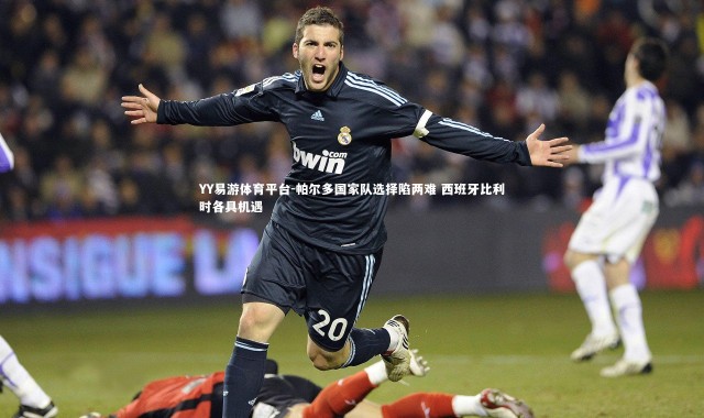 YY易游体育平台-帕尔多国家队选择陷两难 西班牙比利时各具机遇