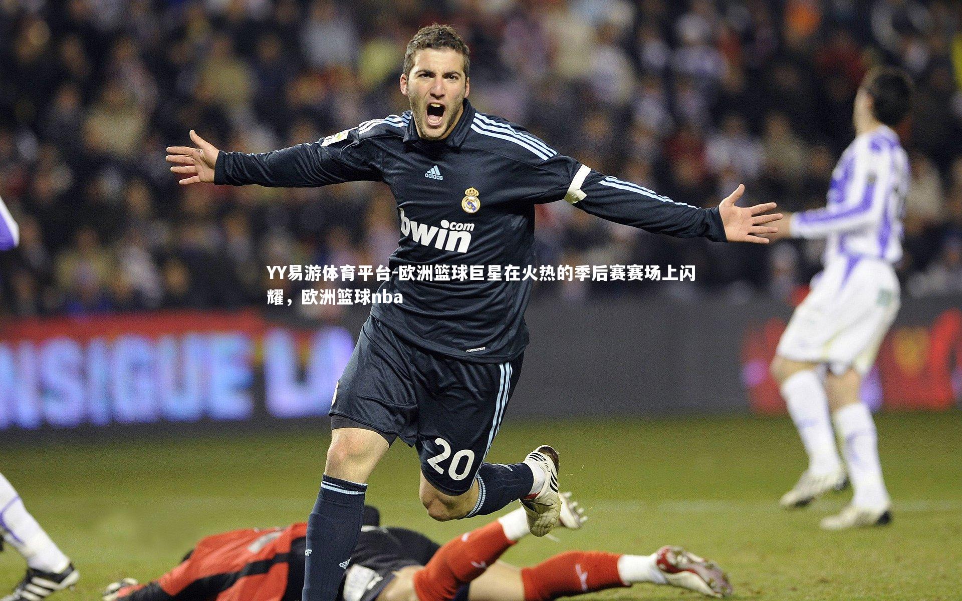 欧洲篮球巨星在火热的季后赛赛场上闪耀,欧洲篮球nba