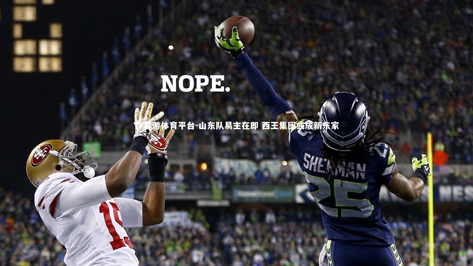 山东队易主在即 西王集团或成新东家